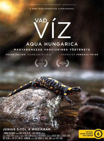 vadvíz film