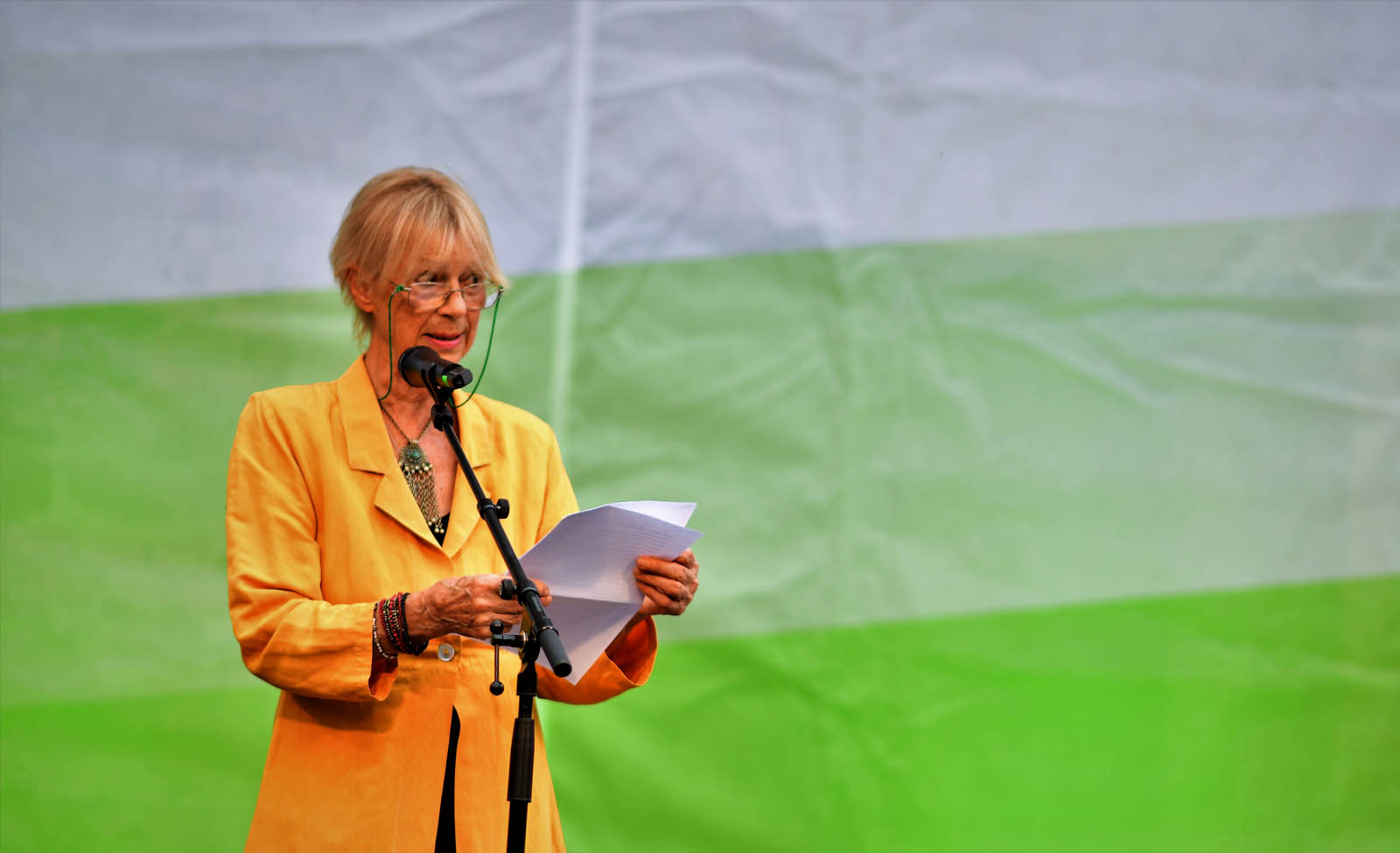 Galéria kép 3