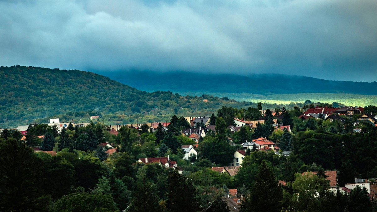 zold-szentendre-latkep.jpg